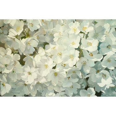 Canvas of White Flowers